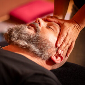 Traditionele Rongoā Māori Healing Sessies