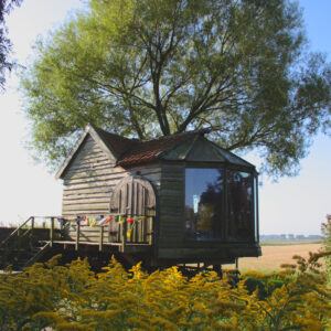 Spirited Treehouse