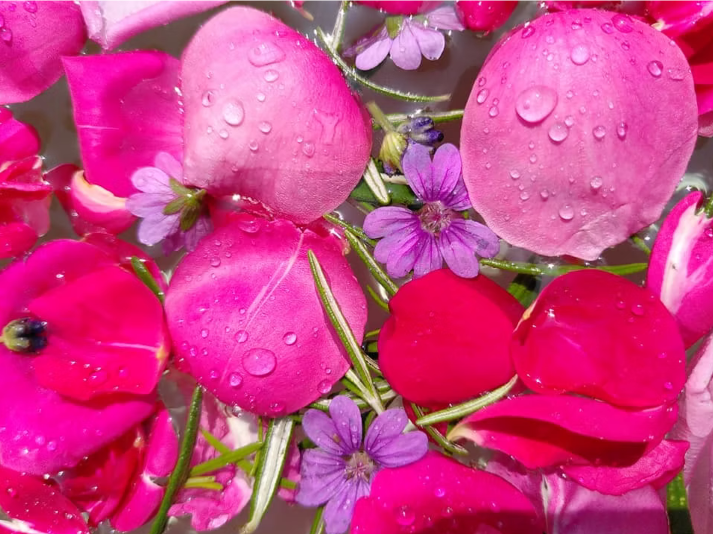 Flowerbath